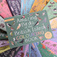 Amazing Birds of the British Isles Colouring Book