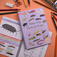 Amazing British Bugs Fact and Activity Book