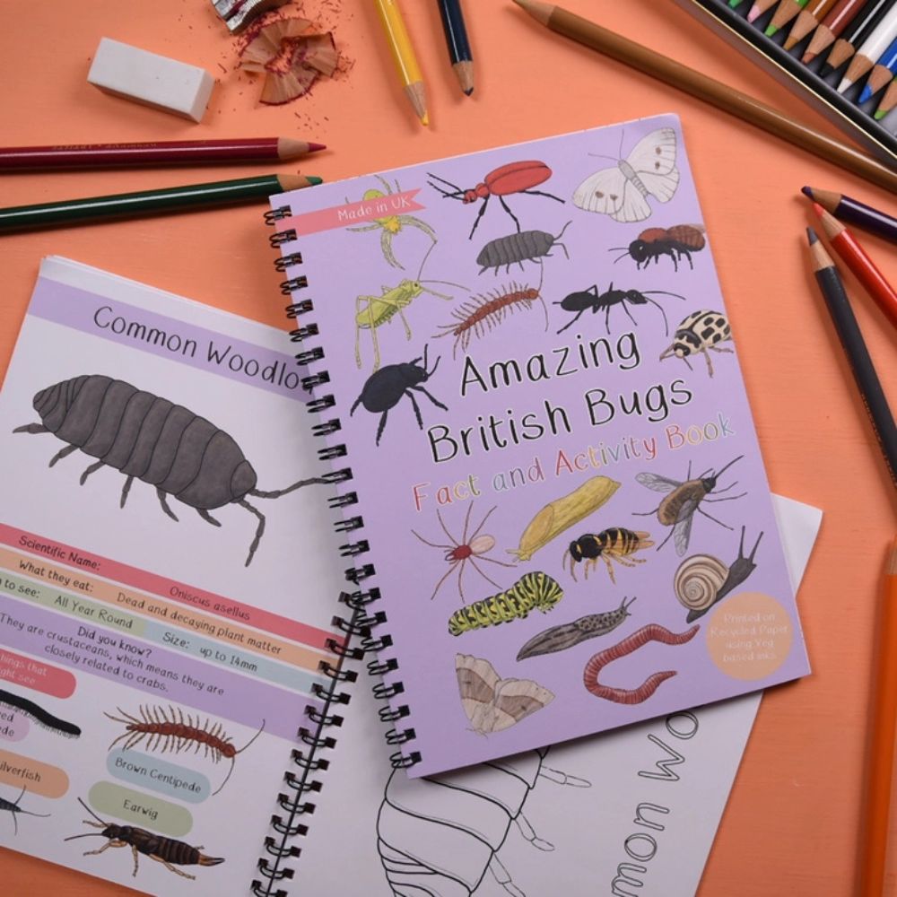 Amazing British Bugs Fact and Activity Book