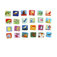 Eeboo Life On Earth - A Memory & Matching Game