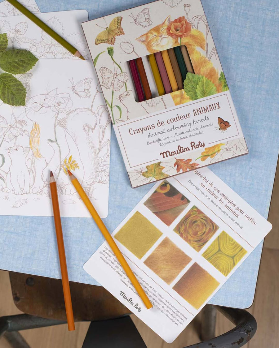Animals Colouring Pencils & Cards To Colour - Gifts For 3 Year Olds