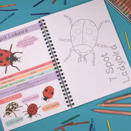 Amazing British Bugs Fact and Activity Book