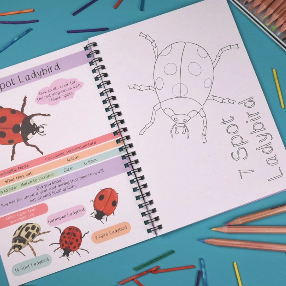 Amazing British Bugs Fact and Activity Book