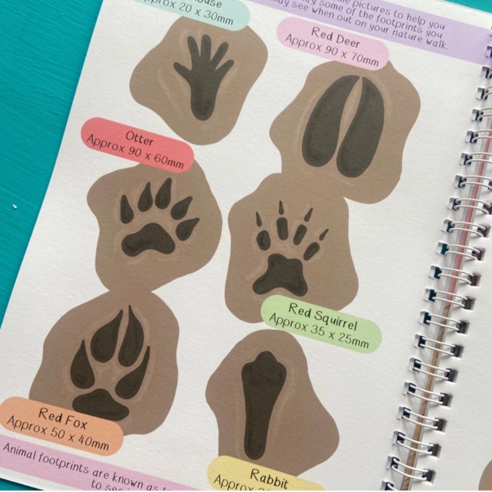 Amazing British Nature Walk Activity Book and Nature Journal