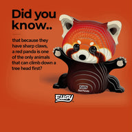EUGY Red Panda - Kids Cardboard Craft Kit