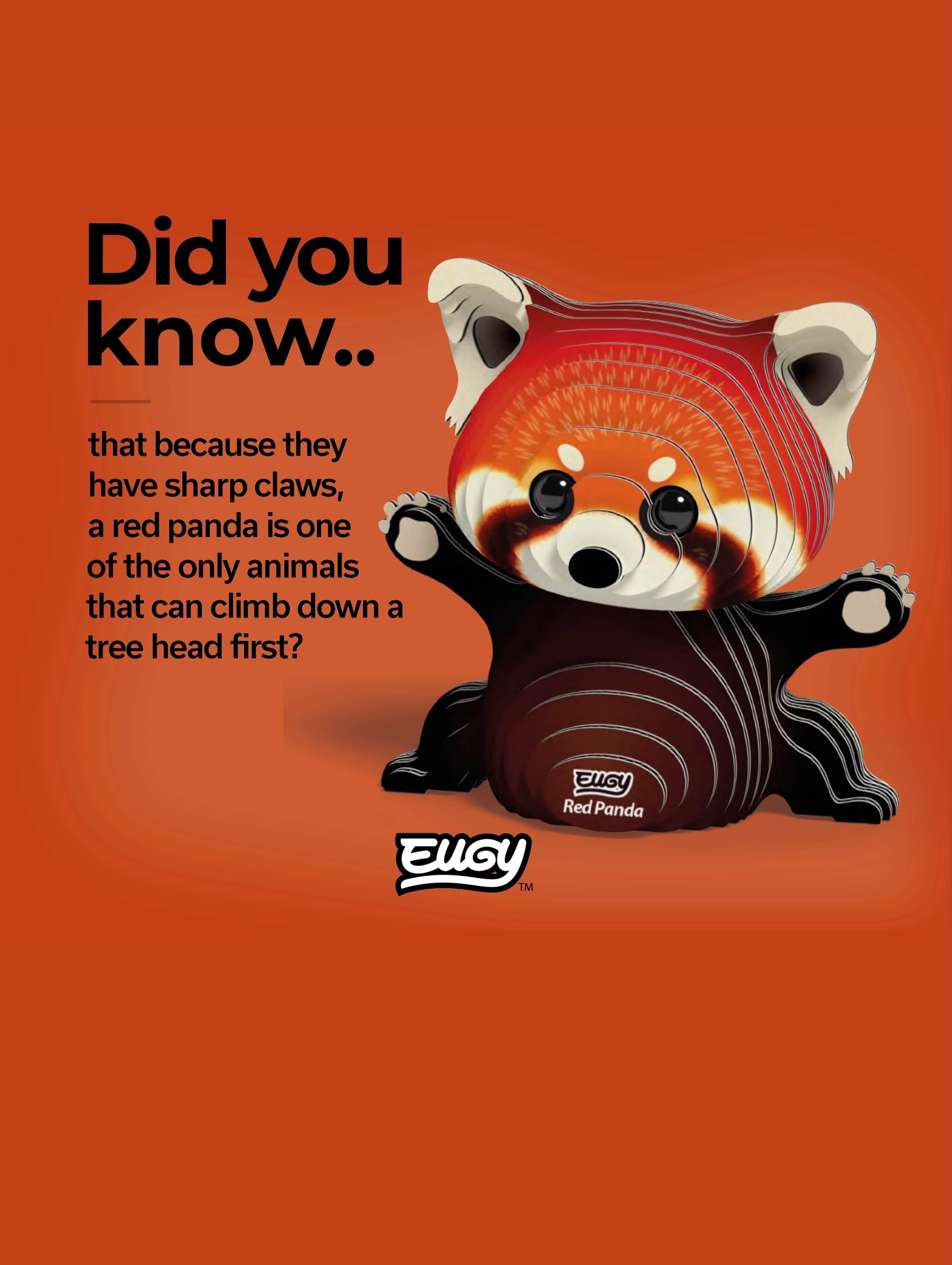 EUGY Red Panda - Kids Cardboard Craft Kit