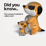 EUGY Meerkat - Kids Cardboard Craft Kit