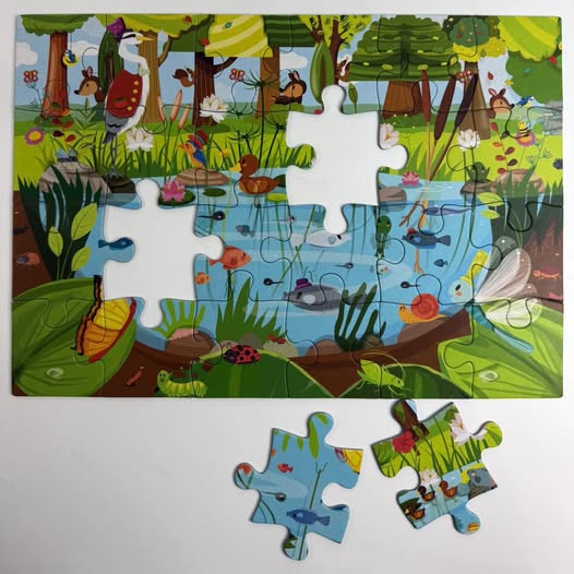 Calypto Puzzle 24 piece x 2 - Life Above, Life Below