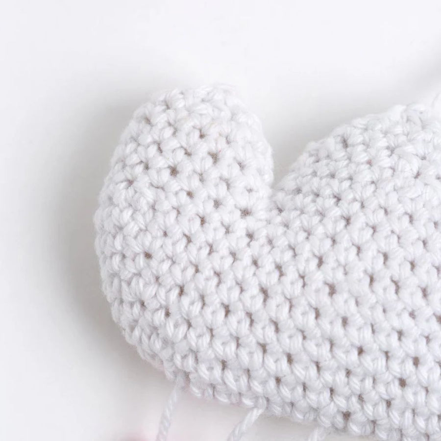 Beginner Crochet Kit - My Pocket Cloud