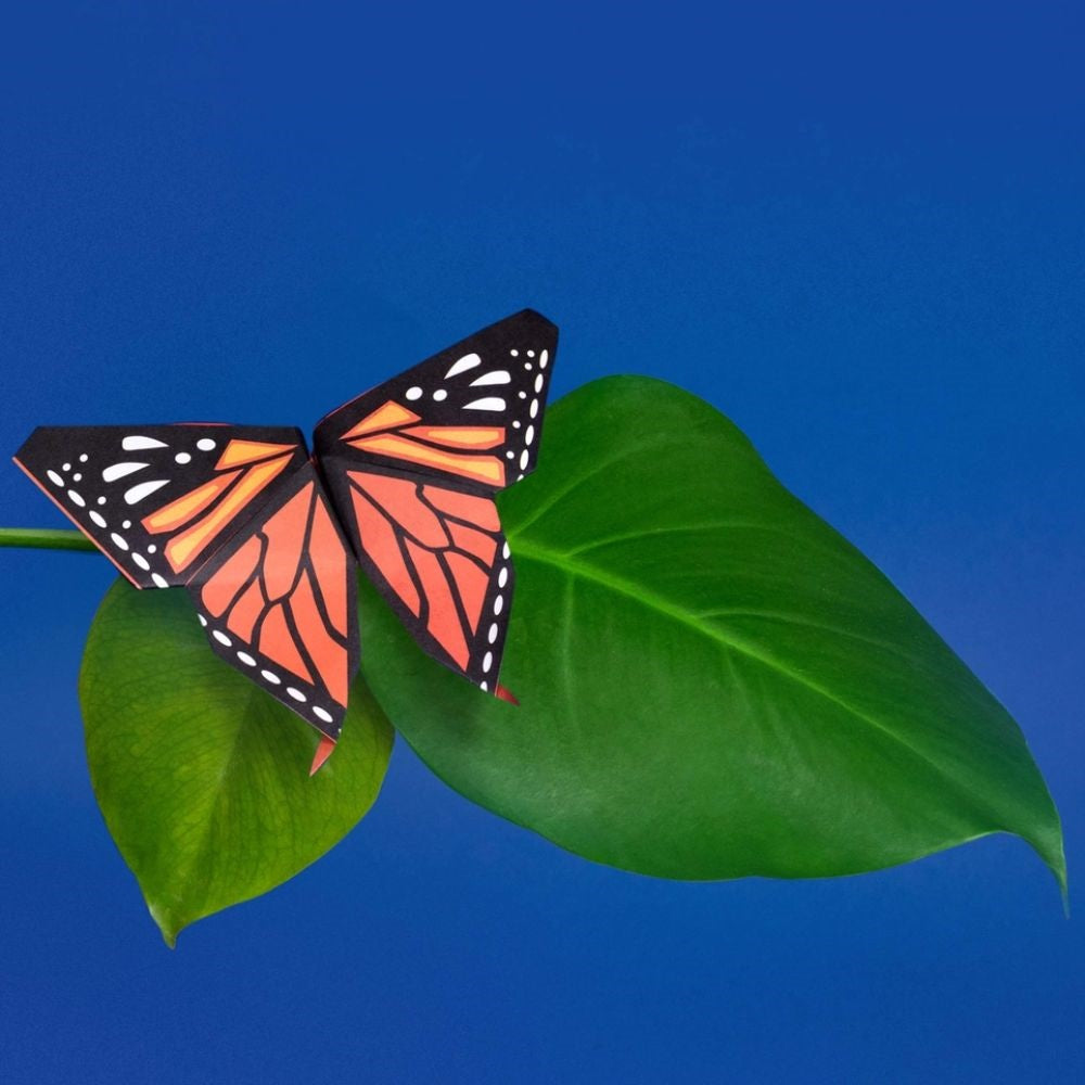 Origami for Kids