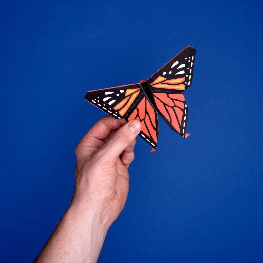 Origami for Kids
