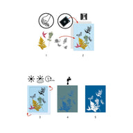 DJ09339 - Djeco Cyanotype Starter Set for ages 7-99 yrs
