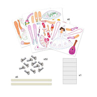 DJ09649 - Djeco Jumping Jacks to Colour In - Tutus