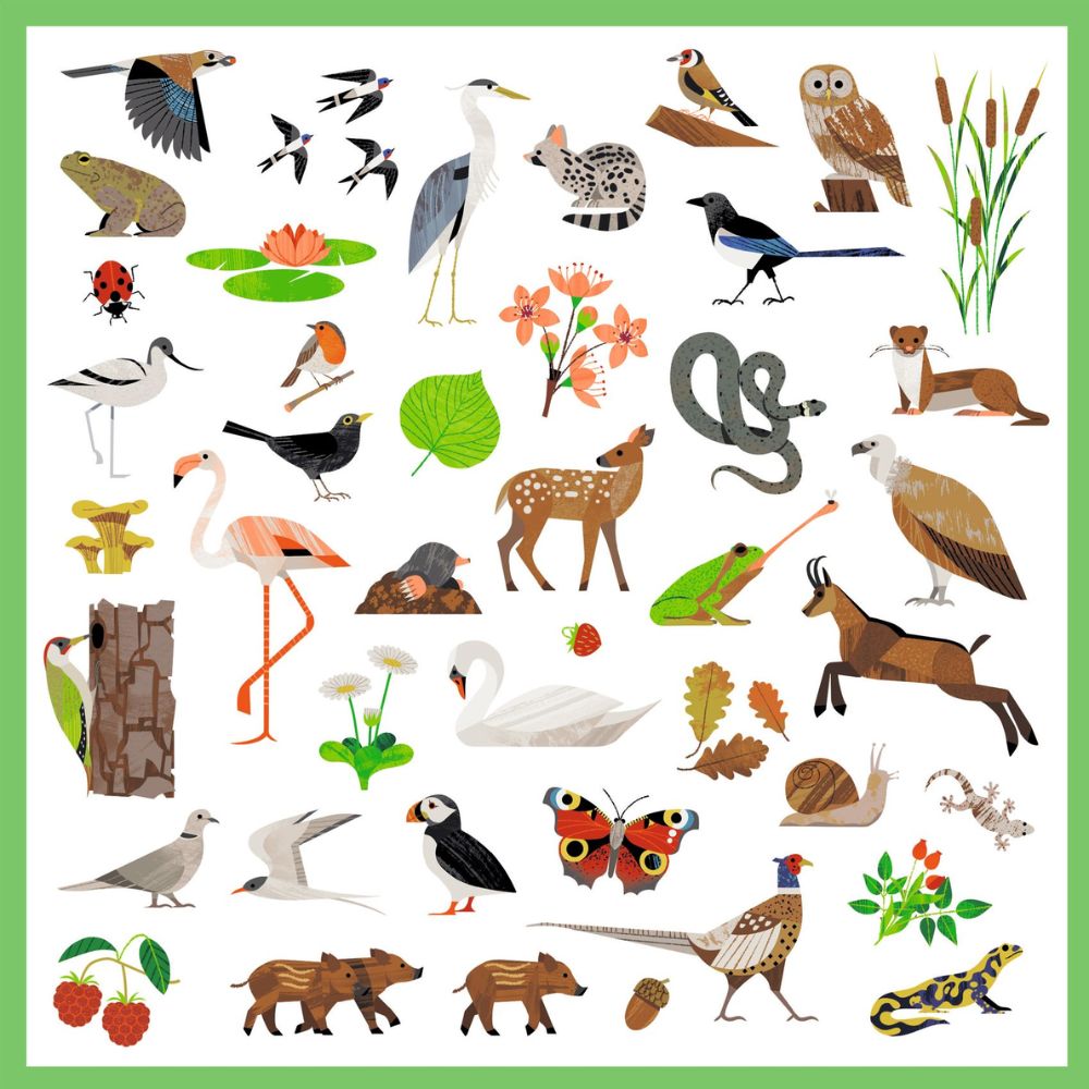 Djeco Stickers - Fauna