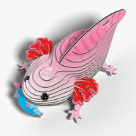 EUGY Axolotl 3D Cardboard Model Kit