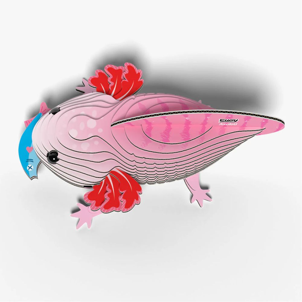 EUGY Axolotl - Kids Cardboard Craft Kit