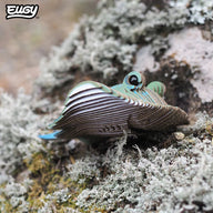 EUGY Stingray - Kids Cardboard Craft Kit