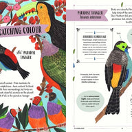 Fly - Child's Guide to Birds