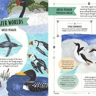 Fly - Child's Guide to Birds