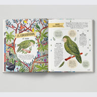 FLY - A Children's Guide to Birds & How to Spot Them