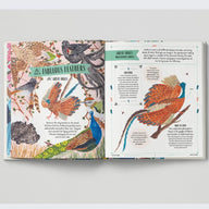 FLY - A Children's Guide to Birds & How to Spot Them