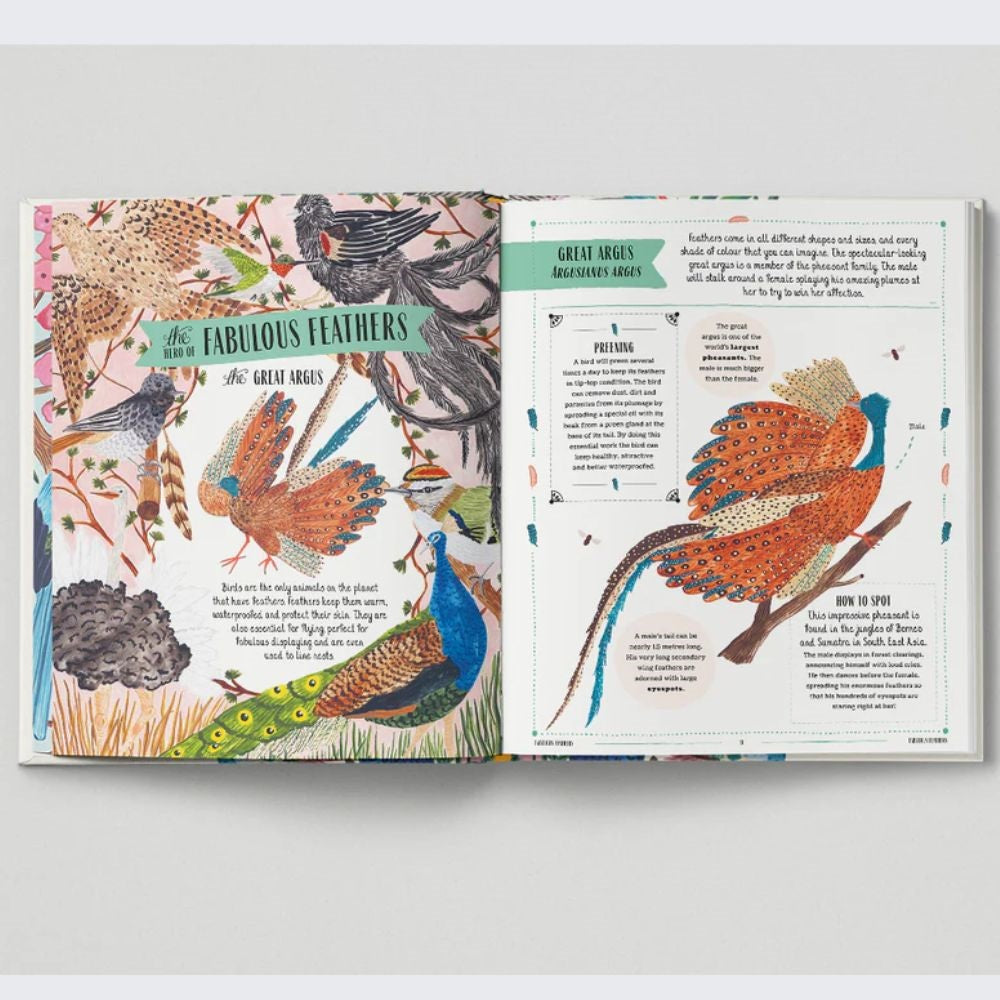 FLY - A Children's Guide to Birds & How to Spot Them