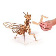 Graine Creative 3D Wooden Model Kit - Praying Mantis