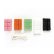 Kids Candle Making Kit - Totem Animals