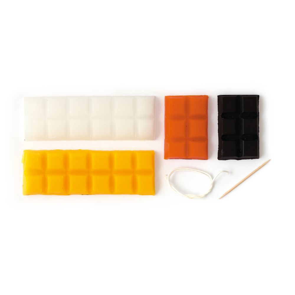 Kids Candle Making Kit - Wild Animals