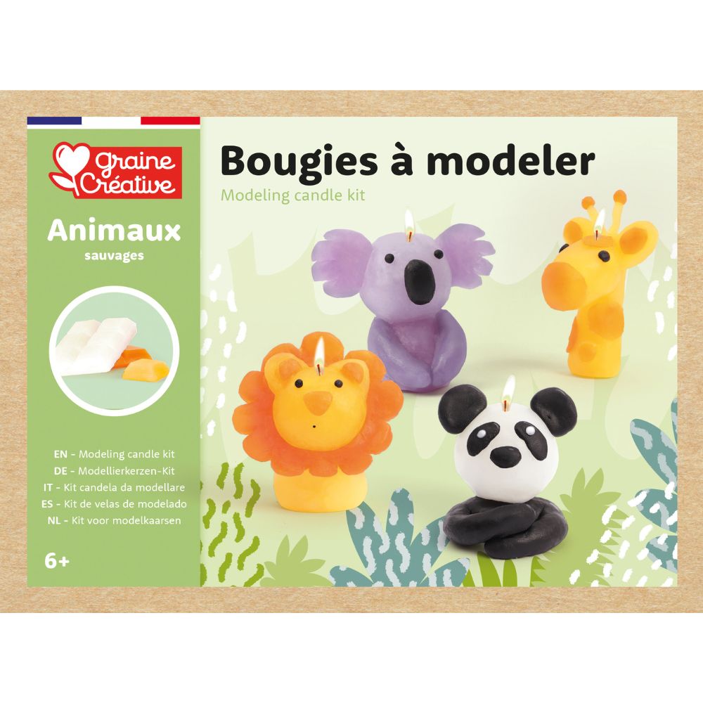 Kids Candle Making Kit - Wild Animals