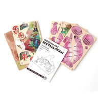 Graine Creative 3D Wooden Model - Triceratops&nbsp;