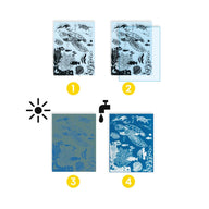 Kids Craft Kits - Djeco Cyanotype Ultramarine Set