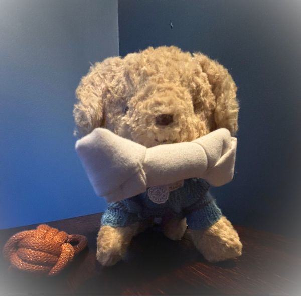 Maileg Puppy Toys and Bone 