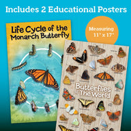 MindWare Make Your Own Butterfly House