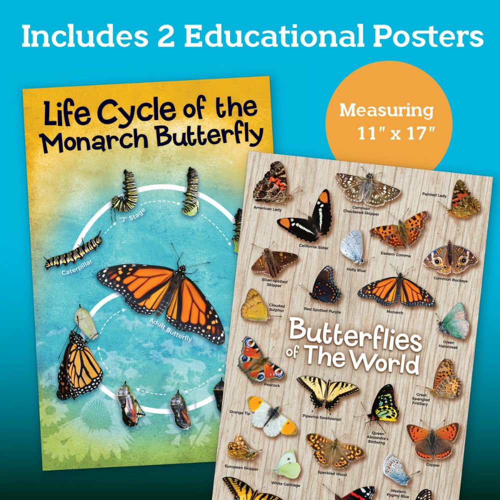 MindWare Make Your Own Butterfly House