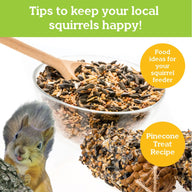 MindWare Make Your Own Squirrel Feeder