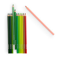 Moulin Roty Le Jardin du Moulin - Nature Colouring Set