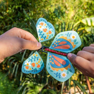 Magic butterfly