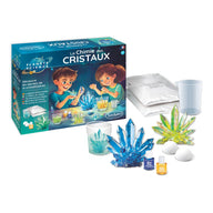 Sentosphere Crystal Chemistry Workshop - Crystal Growing Kit