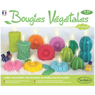 Sentosphere Vegan Candles Workshop