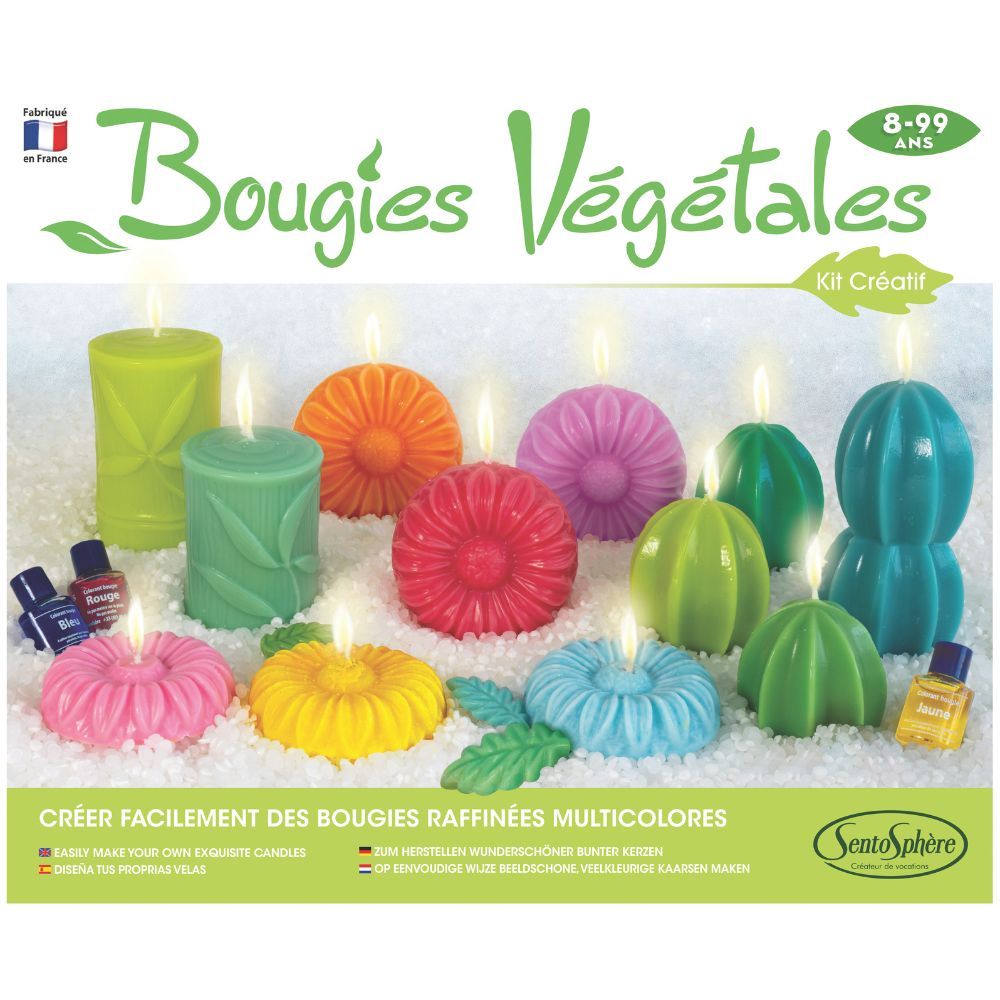 Sentosphere Vegan Candles Workshop