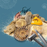 Thames & Kosmos Dig Out Fossils