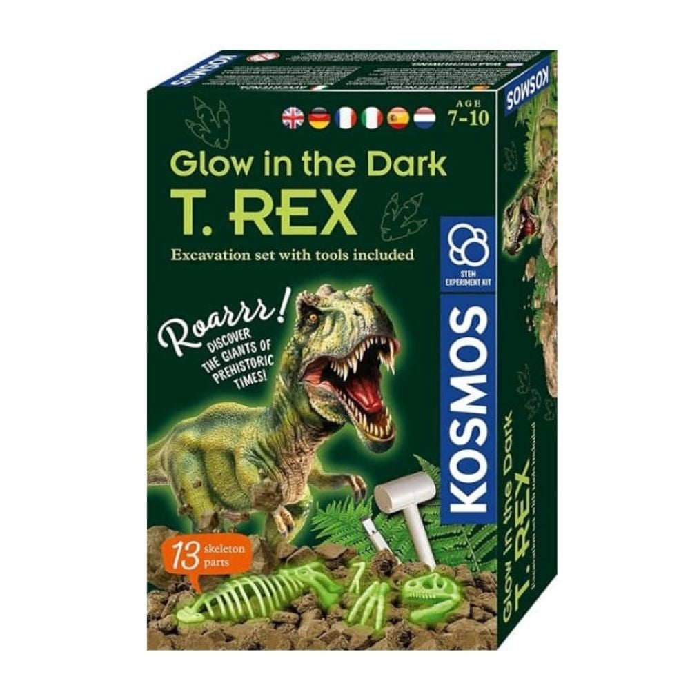 Glow In The Dark T-Rex Excavation Kit