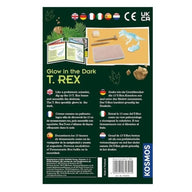 Glow In The Dark T-Rex Excavation Kit