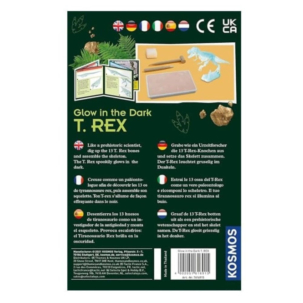 Glow In The Dark T-Rex Excavation Kit