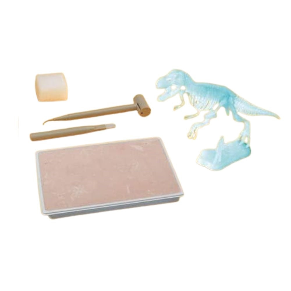Glow In The Dark T-Rex Excavation Kit