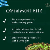 Glow In The Dark T-Rex Excavation Kit