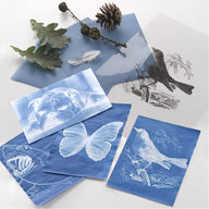 Cyanotype Refill Paper Pack - Pack of 30 Sun Sensitive Sheets