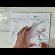 Amazing British Bugs Colouring Book