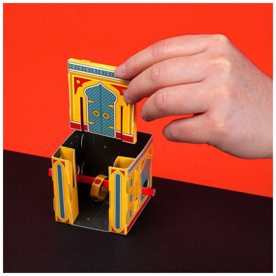 remarkable ring chamber illusion
